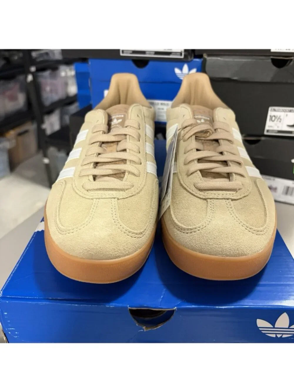 adidas Gazelle Beige and White with Gum Sole